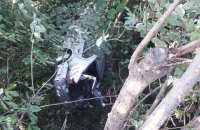В Черновцах мужчина угнал автомобиль и слетел с моста во время погони
