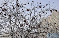 У вівторок, 1 грудня, майже по всій Україні заморозки