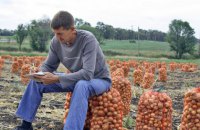 Правительство увеличило финансовую поддержку малых фермеров 
