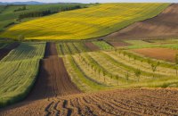 Відбудова і корупція. Які й у кого плани на сільськогосподарську землю?