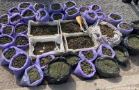 Поліція знешкодила масштабну наркомережу: затримали 26 дилерів у 19 регіонах України