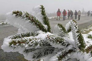 Рекордно холодная погода зафиксирована на юге Бразилии