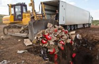Россельхознадзор ​отчитался об уничтоженых в рамках "контрсанкций" продуктах