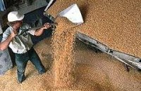 Квоты на экспорт зерна вводить не будут