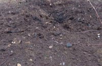 Росія знову вдарила по Херсону: загинули двоє людей, семеро поранені (оновлено) 