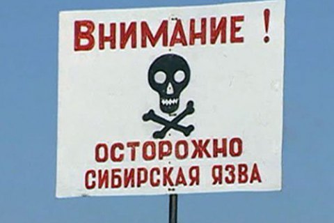 В Турции более 70 человек госпитализированы с подозрением на сибирскую язву