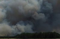 Херсонского пастуха приговорили к пяти годам тюрьмы за поджог леса