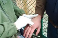 Военный задержан при сбыте ворованного горючего ​в Хмельницкой области 