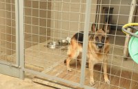 Закарпатский таможенник получил €7 тыс. взяток за четыре часа
