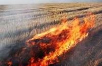 В Днепропетровской области накажут 3-х человек за поджог стерни
