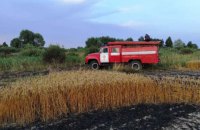 На Чернігівщині згоріли 55 га пшеничного поля