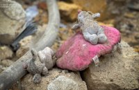 Армія РФ вбила 554 українських дітей