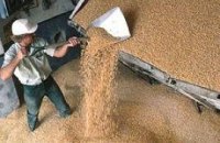 На внутреннем рынке Украины выросли цены на зерно