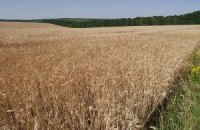 Орендна плата за сільськогосподарські землі має бути підвищена