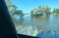 Із затопленого зоопарку в Новій Каховці змогли врятуватися лише лебеді та качки, - UAnimals