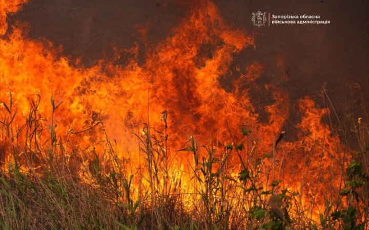 Російська армія вкотре вдарила дронами по Запоріжжю