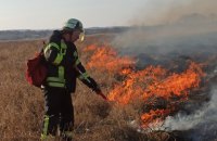Станично-Луганская РГА заявила об очередном поджоге (обновлено)