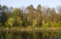 Київрада звернулася до правоохоронців через Біличанський ліс