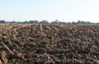 Аграрії очікують ухвалення законопроєкту про електронні аграрні розписки