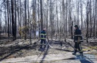 Более 1,5 тыс. человек продолжают тушить лесные пожары в Житомирской и Киевской областях