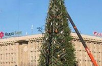 В Киеве установили главную елку страны