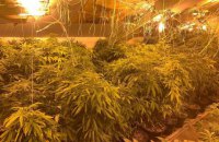 ​В Киеве на чердаке многоэтажки обнаружили плантацию конопли