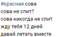 ​Детский омбудсмен рассказал о новой суицидальной игре в интернете