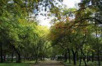 Безымянному скверу в Бабушкинском районе дали имя Николая Щелокова