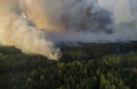 В Чернобыльской зоне возник пожар