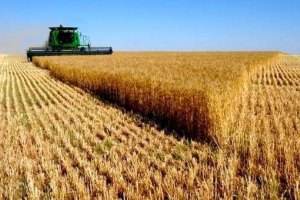 МинАПК подсчитало убытки от российского эмбарго