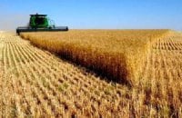 МінАПК підрахувало збитки від російського ембарго