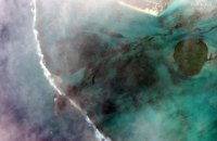 Из-за разлива нефти на острове Маврикий объявили режим экологической ЧС