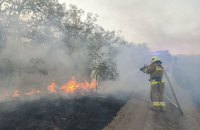 На Миколаївщині – масштабна пожежа на території заповідної зони