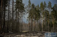 Киянам заборонили ходити в ліс до закінчення воєнного стану