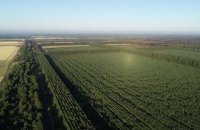 Лісову пожежу на Луганщині погасили більш як через тиждень
