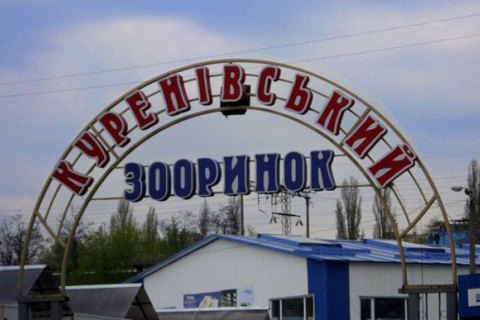 Киевсовет рассмотрит петицию о закрытии "Птичьего рынка"