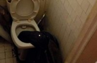 В Киеве спасатели освободили мужчину, который опустил руку в унитаз и застрял