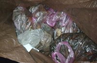 В Ровенской области изъяли янтаря почти на два миллиона гривен