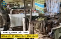 ​​Російські військові облаштували "командний пункт" у свинарнику на Херсонщині, – СБУ
