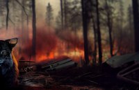 Штучний інтелект створив картини із тваринами, які можуть зникнути через війну в Україні