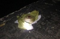 На Филиппинах при взрыве во время матча по боксу пострадали 33 человека