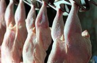 В столовой элитной школы Днепропетровска была обнаружена просроченная курятина 