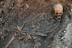В Великобритании найдены останки короля Ричарда III