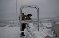 За сутки боевики пять раз нарушили режим прекращения огня на Донбассе