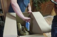Киянин напідпитку гуляв зі зміями і чіплявся до людей