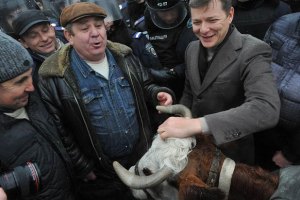 Ляшко и аграрии пытаются провести в Раду корову 