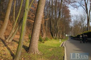 Генпрокуратура відібрала у регіоналів 15 тис. га мисливських угідь