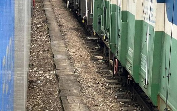 У Польщі невідомі знову висипали українське збіжжя