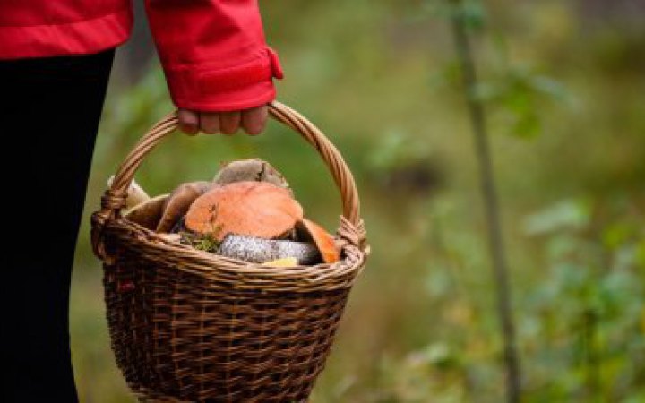 На Чернігівщині борються за життя 10-місячного хлопчика після грибного супу: у лікарні також подружжя з отруєнням