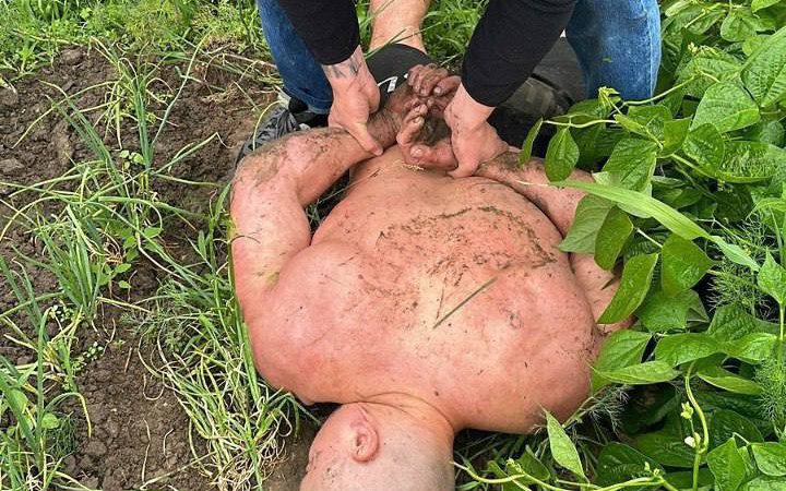 Поліція встановила причетних до нападу на ексвійськового у Дніпрі